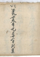 孤子元芳 封面