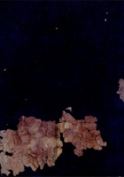 民国支洋流水账 封面