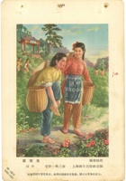 60号采茶去图 封面