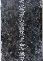 王泰来资料 封面