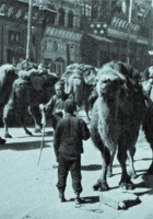 1938年，山西太原城内的骆驼队 封面