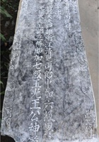 王泰来资料 封面