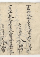 馆藏555 封面