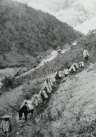 马帮 封面