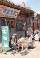 新平堡010 封面