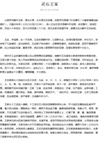灵石王家 封面