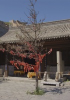 雁门关004 封面