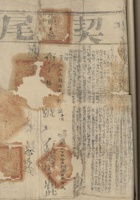 馆藏633 封面