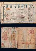 盐票 封面