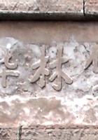 桦林堡020 封面