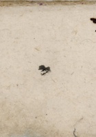 一九五四年二街四组微收账 封面