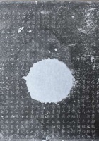 王泰来资料 封面