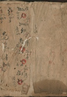 白毛只 封面