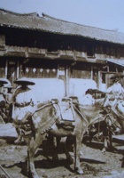 马帮3 封面