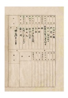 保定市杂货业营业临检表 (2) 封面