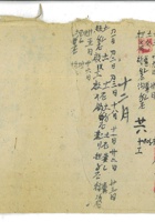 赵红牛 封面