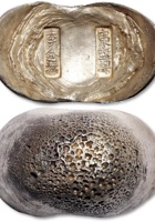 山东盐课·李金城 封面