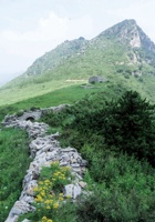 黄榆关008 封面