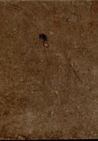 成纪思汗七三六年新正月吉立本村宝账 封面