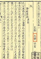 王泰来资料 封面