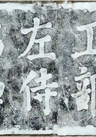 王泰来资料 封面