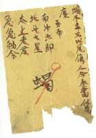 信稿单据254 封面