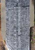 王泰来资料 封面