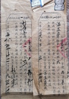 馆藏229 封面
