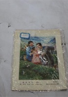 NM 3-212-春暖茶乡照片一组 封面