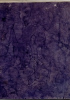 民国八年流水账  封面